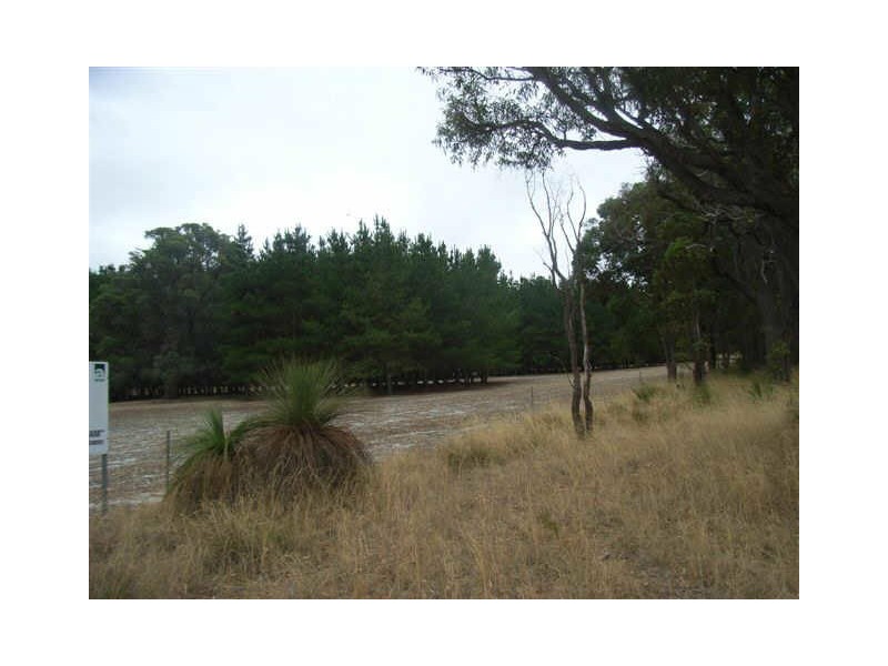Lot 3749 Asplin Siding Road, Boyup Brook WA 6244