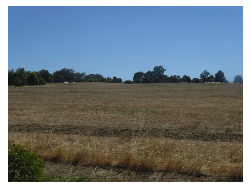 24 Williams Street, Boyup Brook WA 6244