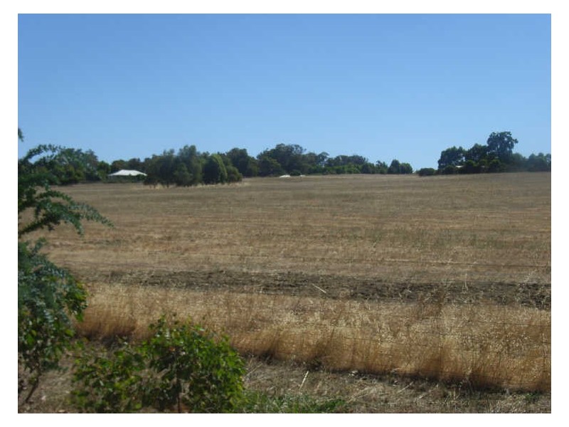 24 Williams Street, Boyup Brook WA 6244