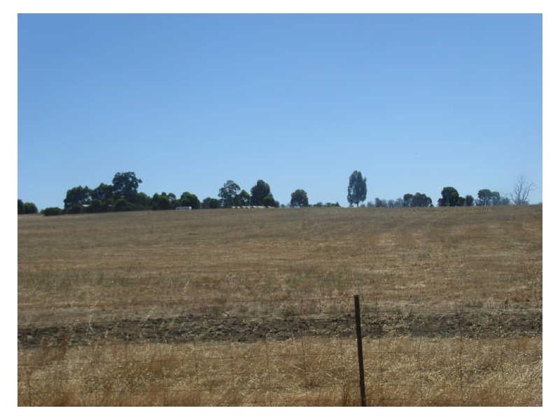 24 Williams Street, Boyup Brook WA 6244