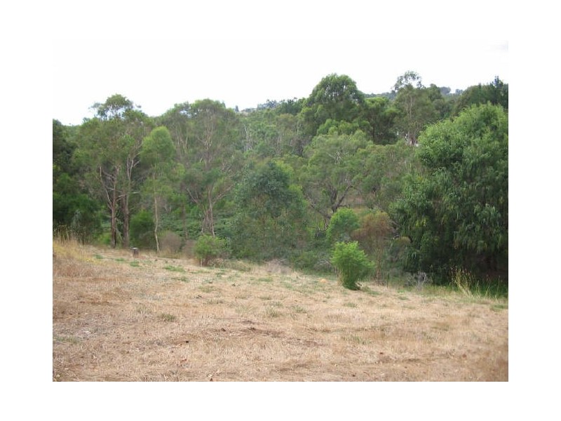 Lot 128 Blechynden Street, Bridgetown WA 6255