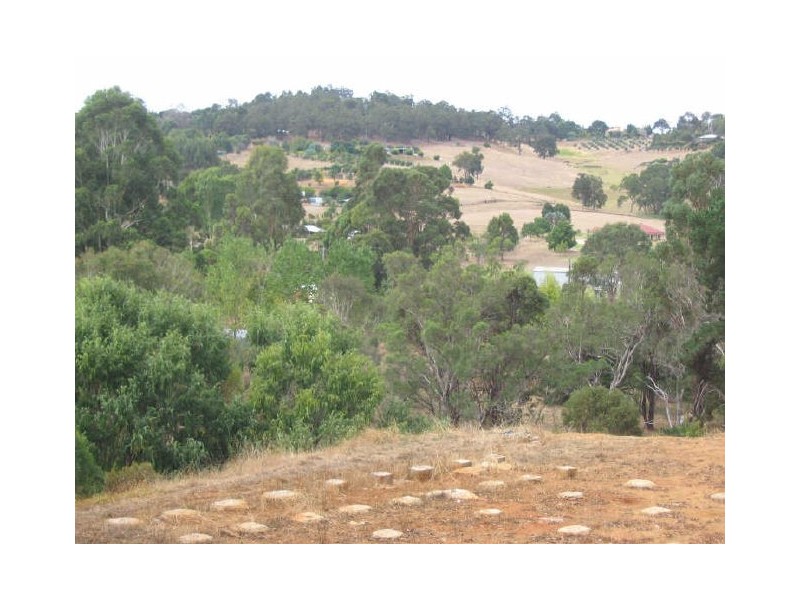 Lot 128 Blechynden Street, Bridgetown WA 6255