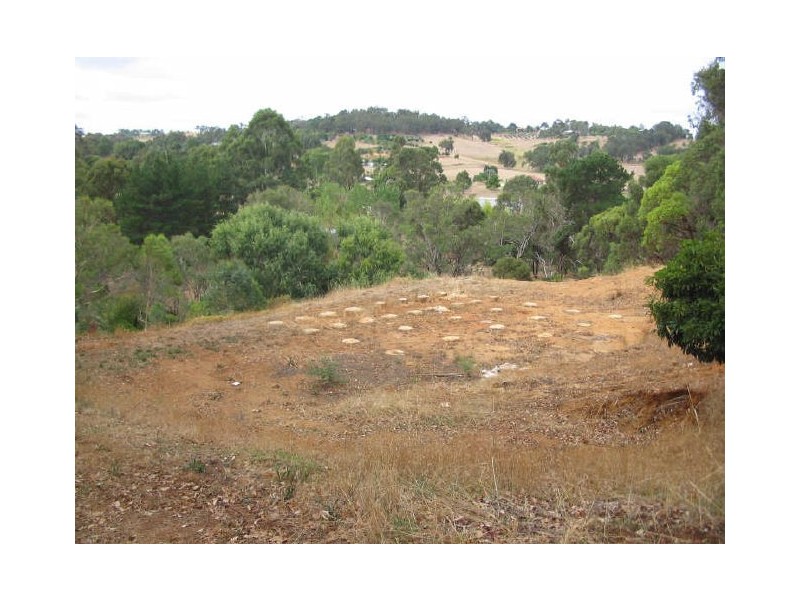 Lot 128 Blechynden Street, Bridgetown WA 6255