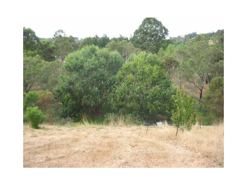 Lot 128 Blechynden Street, Bridgetown WA 6255