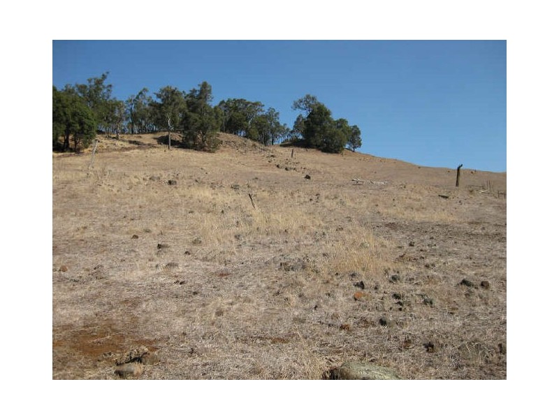 Lot 43 South Western Highway, Bridgetown WA 6255