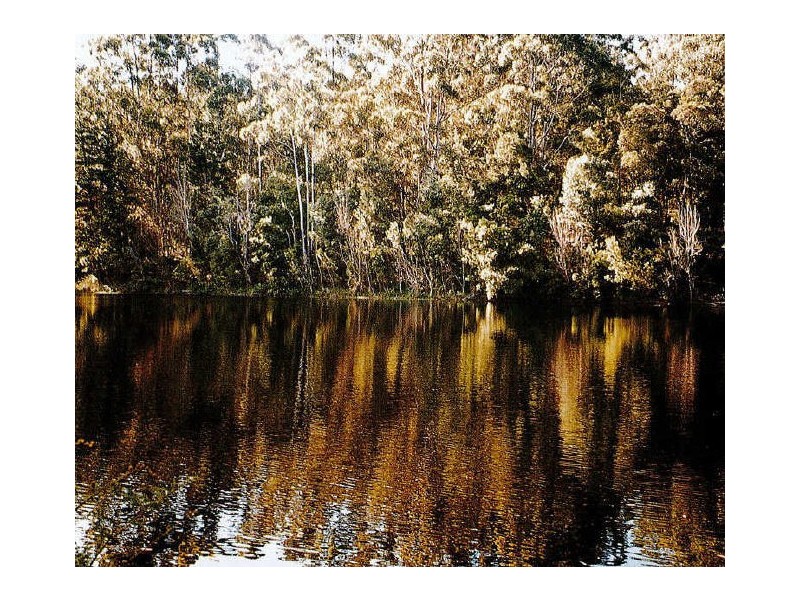 Lot 164 Karri Lane, Quinninup WA 6258