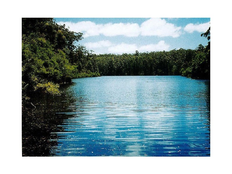 Lot 164 Karri Lane, Quinninup WA 6258