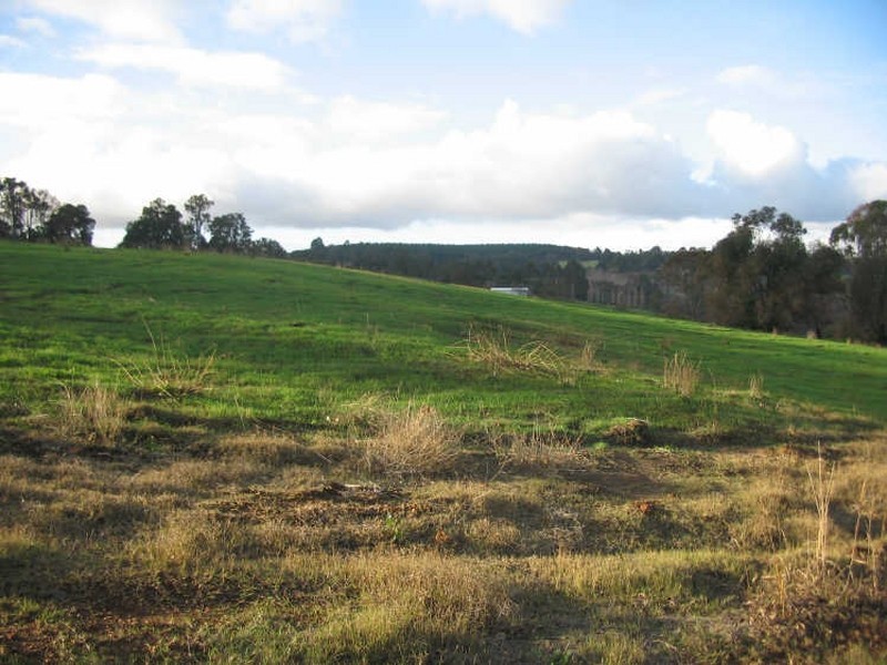 Lot 50 Flintoff Road, Bridgetown WA 6255