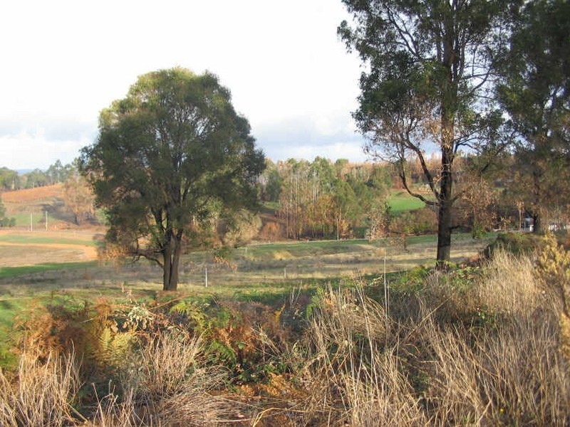 Lot 50 Flintoff Road, Bridgetown WA 6255