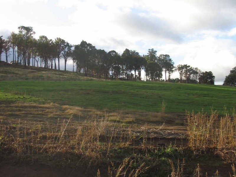 Lot 50 Flintoff Road, Bridgetown WA 6255