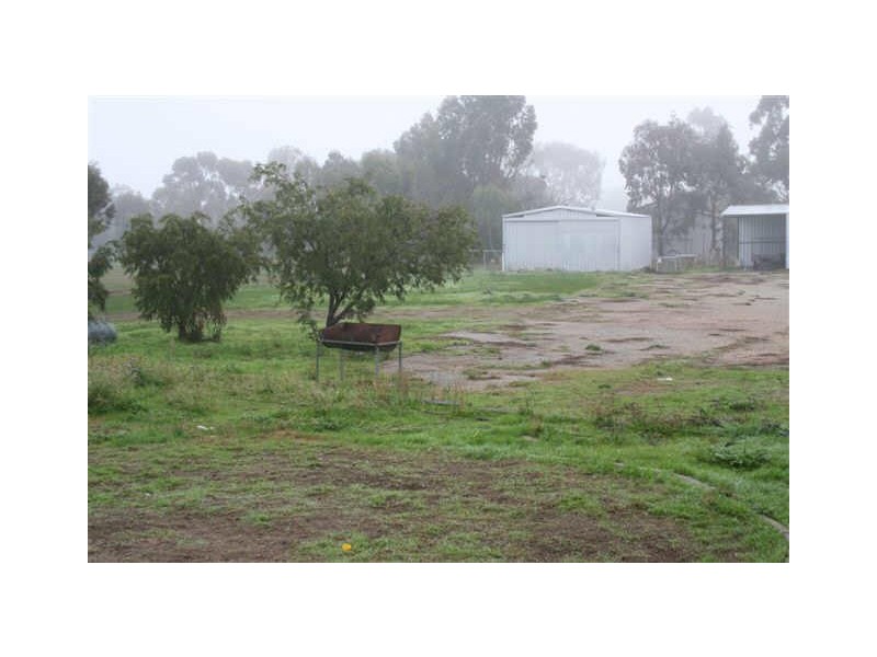 7 Oxley Road, Katanning WA 6317