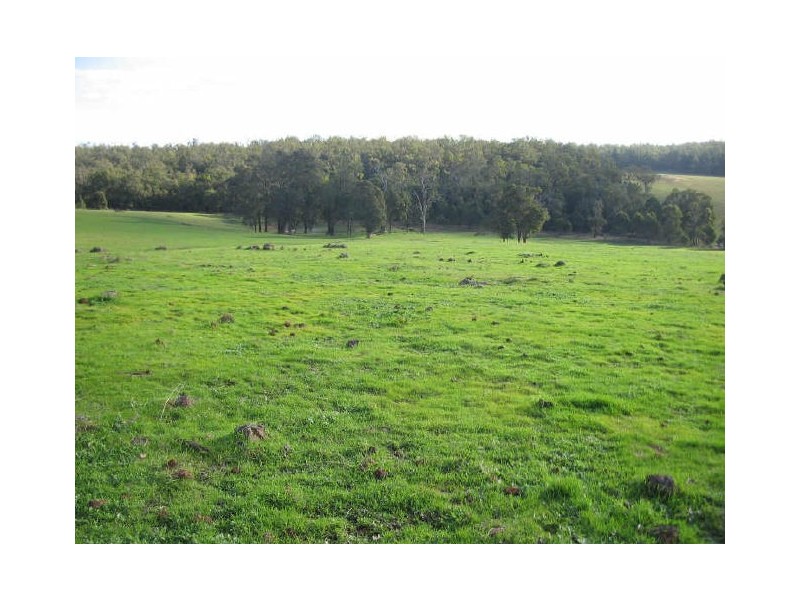 Lot 12052 Mockerdillup Road, Bridgetown WA 6255