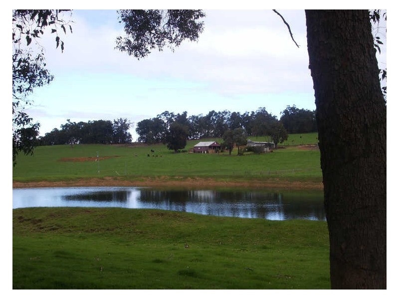 Lot 1343 Campbells Road, Bridgetown WA 6255