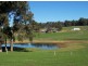 Lot 1343 Campbells Road, Bridgetown WA 6255