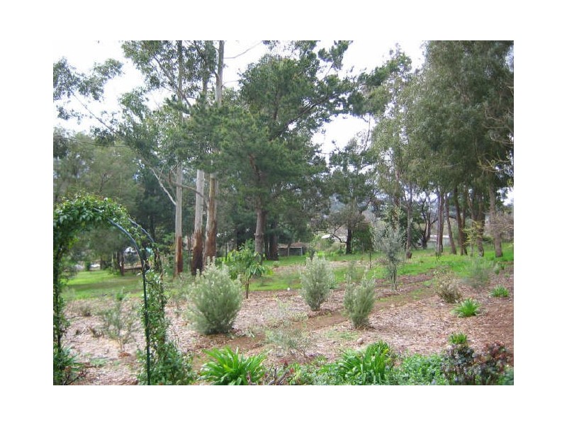 7 Allnutt Street, Bridgetown WA 6255