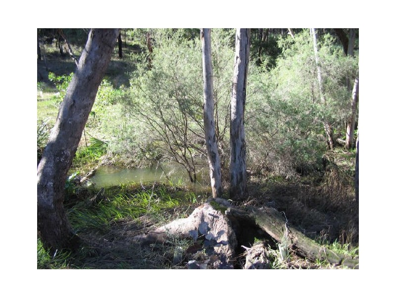 LOT 573 Farrell Street, Bridgetown WA 6255