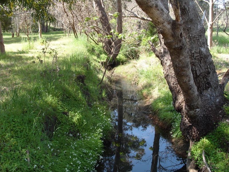 5 May Street, Bridgetown WA 6255