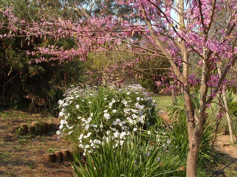 5 May Street, Bridgetown WA 6255