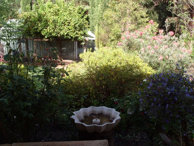 8 Orchard Close, Bridgetown WA 6255