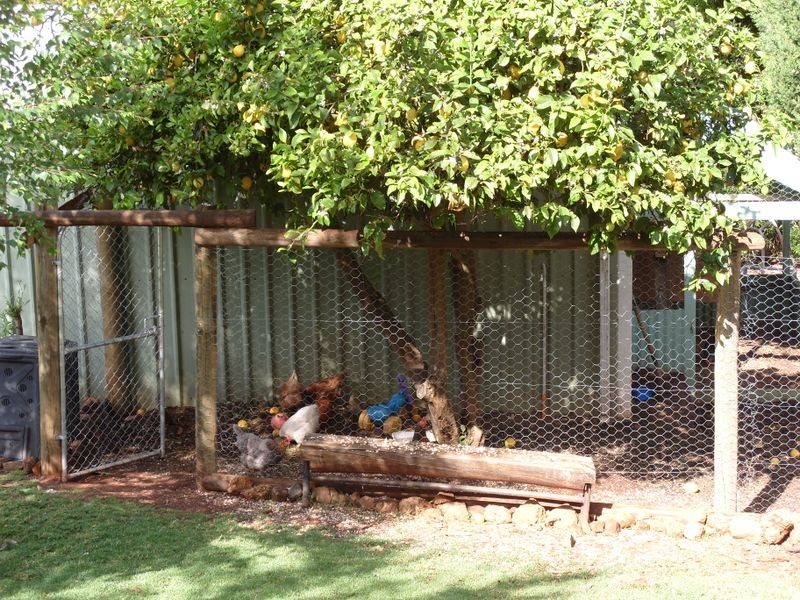 8 Orchard Close, Bridgetown WA 6255