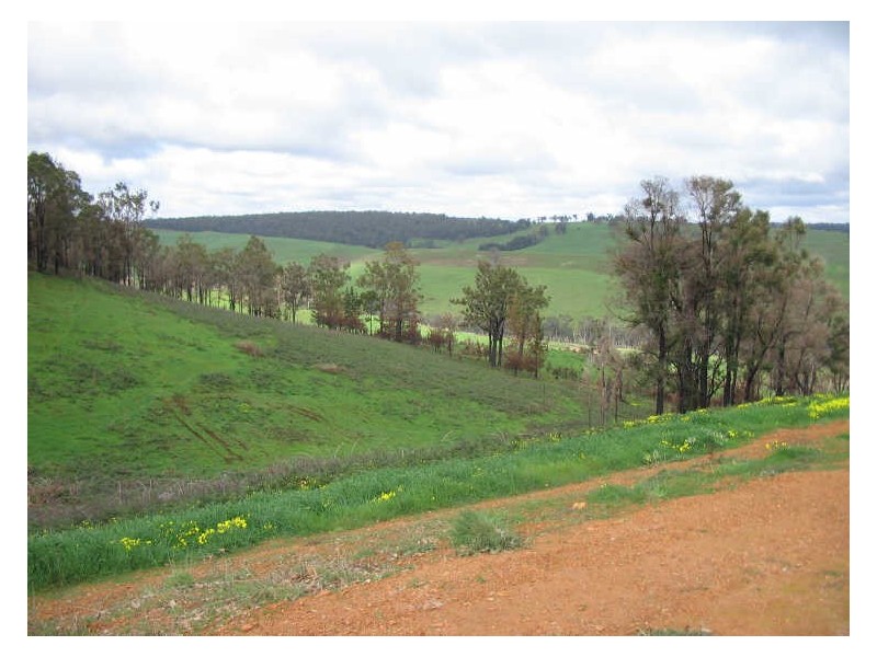 Lot 488 Riverview Close, Bridgetown WA 6255