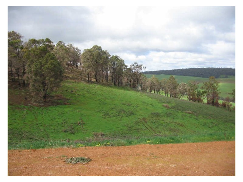 Lot 488 Riverview Close, Bridgetown WA 6255