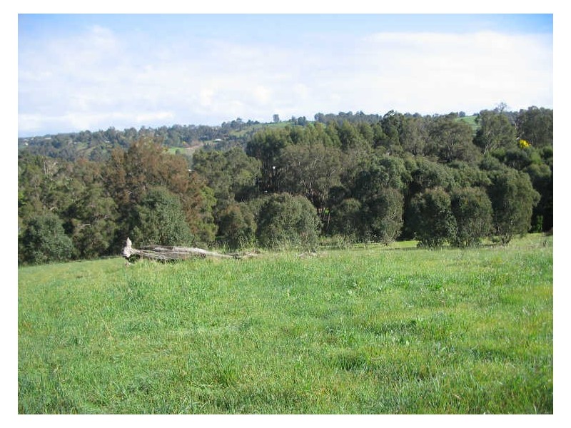 LOT 22 Kangaroo Gully Road, Bridgetown WA 6255