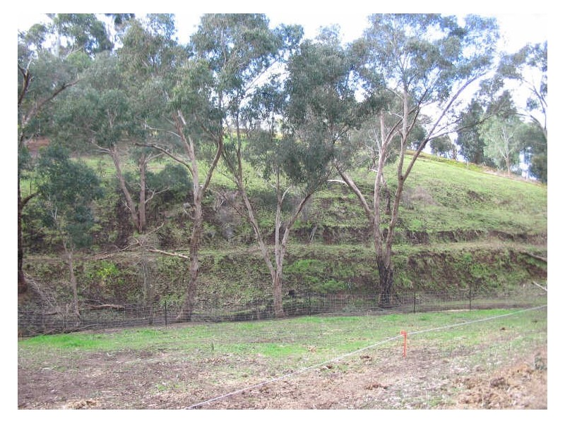 Lot 249 Blackwood Terrace, Bridgetown WA 6255