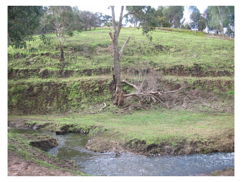 Lot 249 Blackwood Terrace, Bridgetown WA 6255