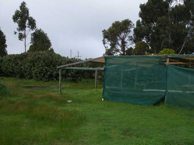 Lot 131 Walter Road, Bridgetown WA 6255