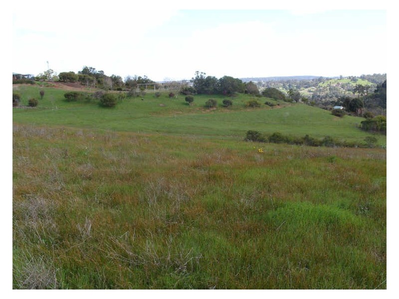 51 Cottonwood Close    Bridgetown Gardens, Bridgetown WA 6255