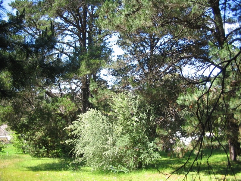 18A Campbell Street, Bridgetown WA 6255