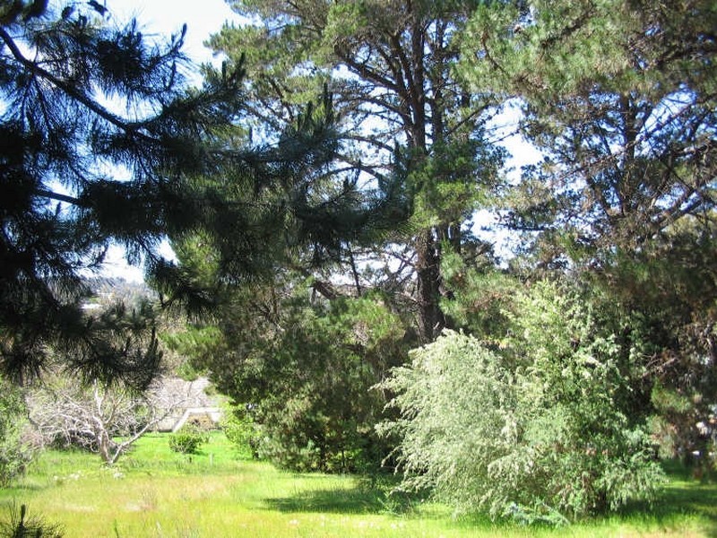 18A Campbell Street, Bridgetown WA 6255