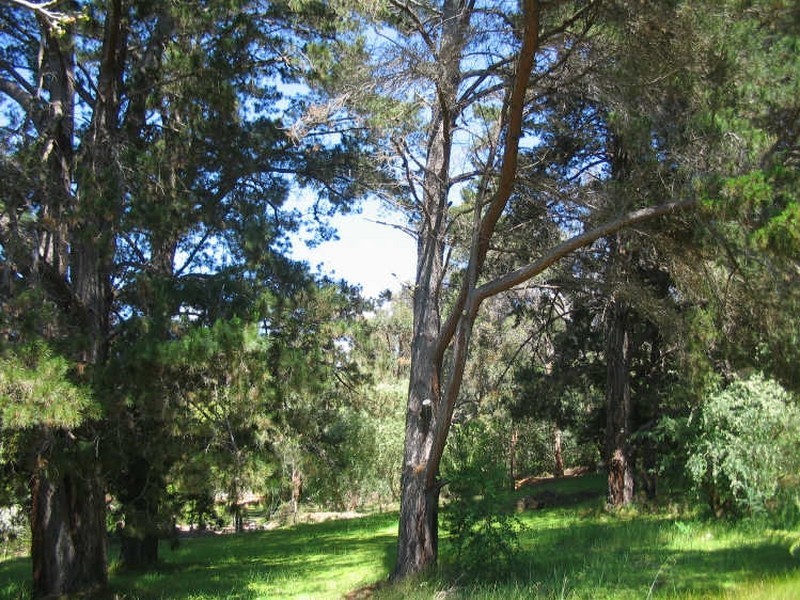 18A Campbell Street, Bridgetown WA 6255