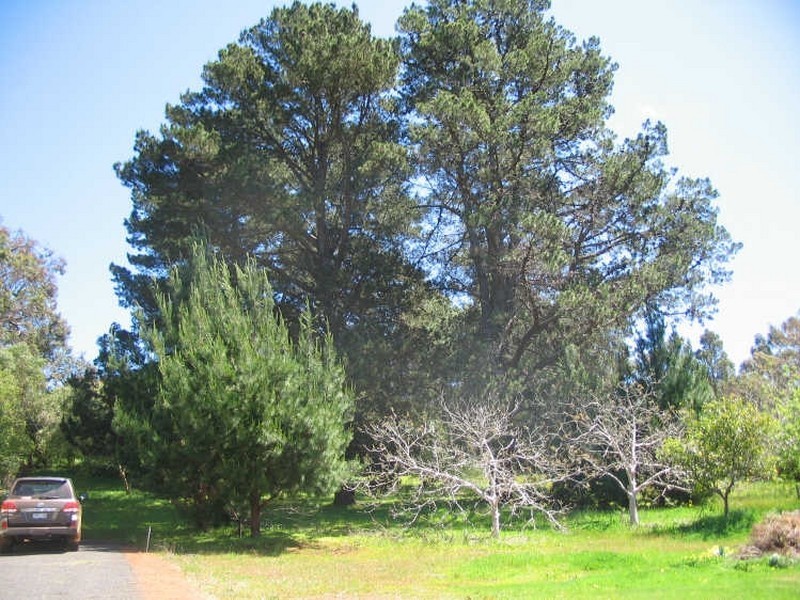 18A Campbell Street, Bridgetown WA 6255