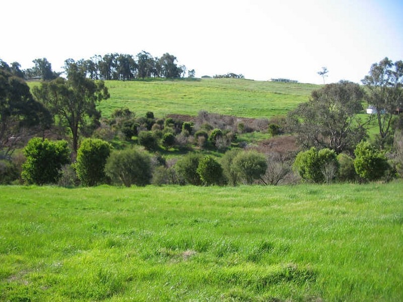 107 Bramley Place, Bridgetown WA 6255