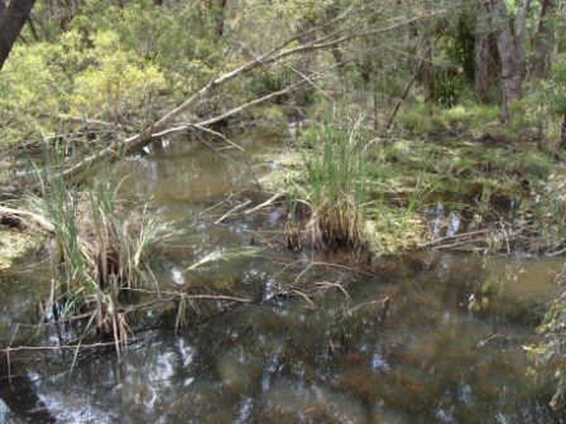 32 Balbarrup Rd, Manjimup WA 6258