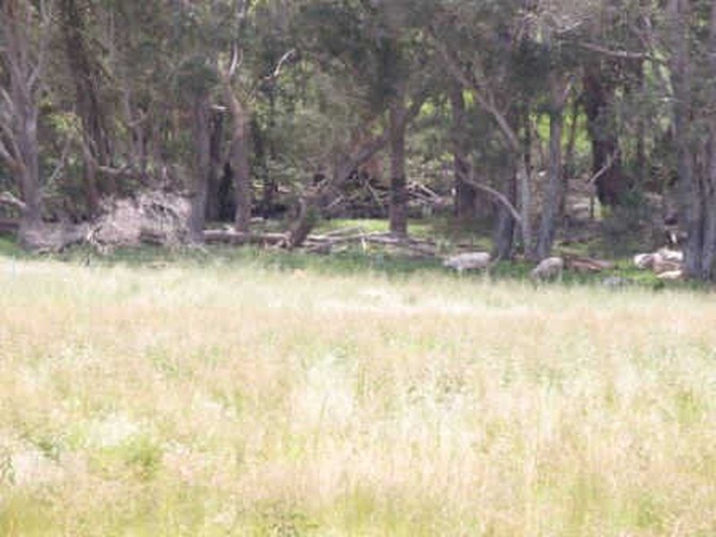 32 Balbarrup Rd, Manjimup WA 6258