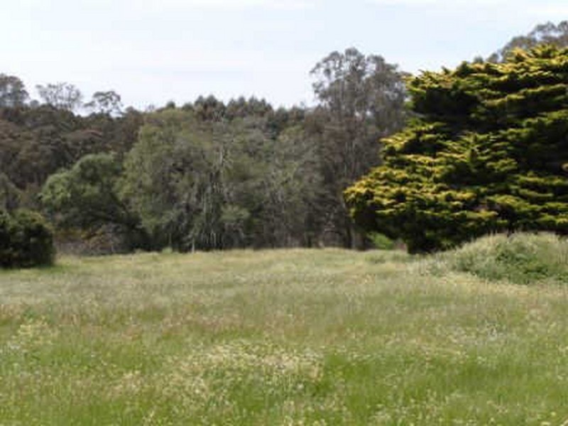 32 Balbarrup Rd, Manjimup WA 6258