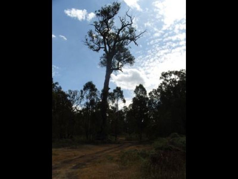 Lot 11933 South Western Highway, Yornup WA 6256