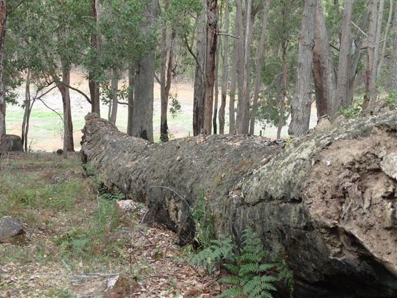 Lot 11933 South Western Highway, Yornup WA 6256