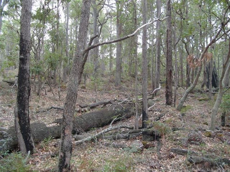 Lot 11933 South Western Highway, Yornup WA 6256