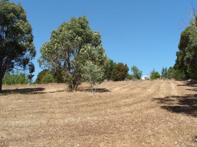 Lot 131 River Road, Bridgetown WA 6255