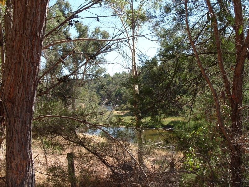 Lot 131 River Road, Bridgetown WA 6255