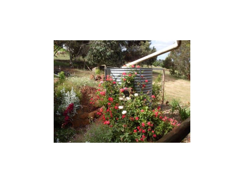 34 Roe Street, Bridgetown WA 6255