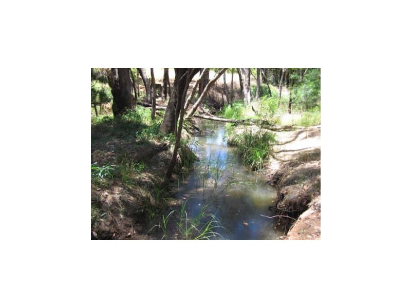 Lot 572 Farrell Street, Bridgetown WA 6255