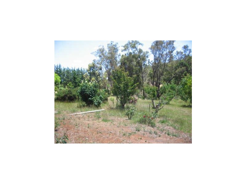 Lot 572 Farrell Street, Bridgetown WA 6255