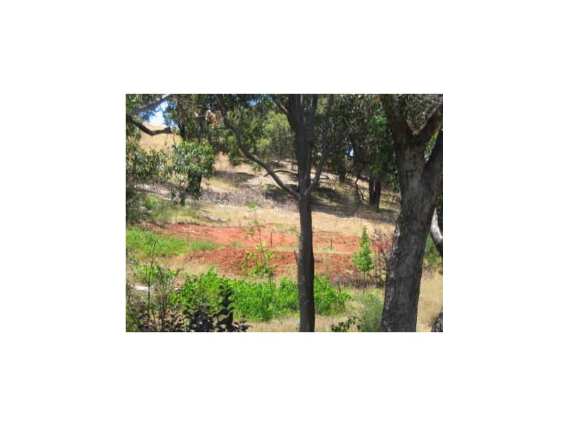 Lot 572 Farrell Street, Bridgetown WA 6255