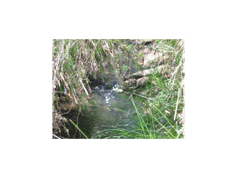 Lot 572 Farrell Street, Bridgetown WA 6255