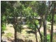 Lot 572 Farrell Street, Bridgetown WA 6255